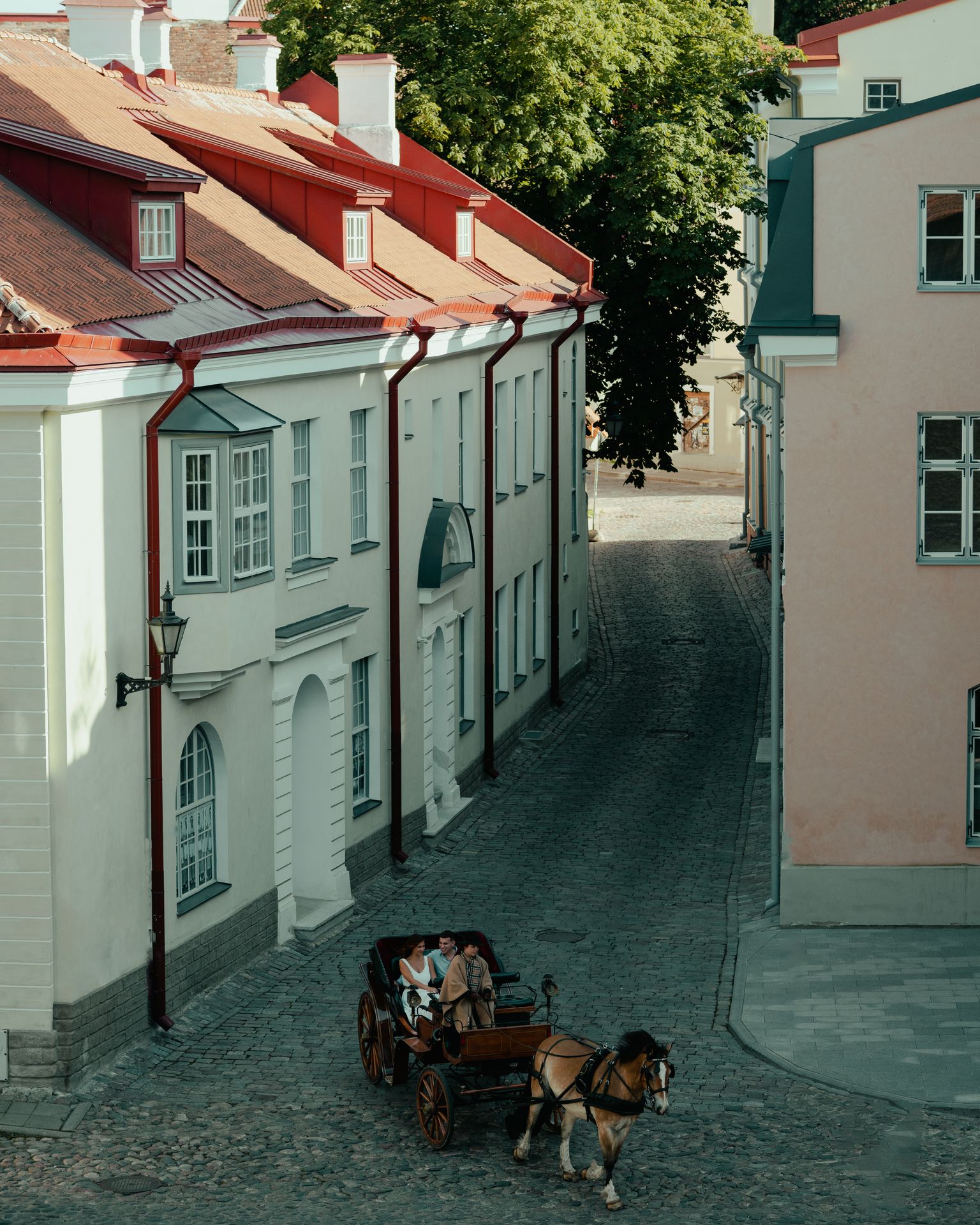 Horse and carriage in Tallinn's Old Town