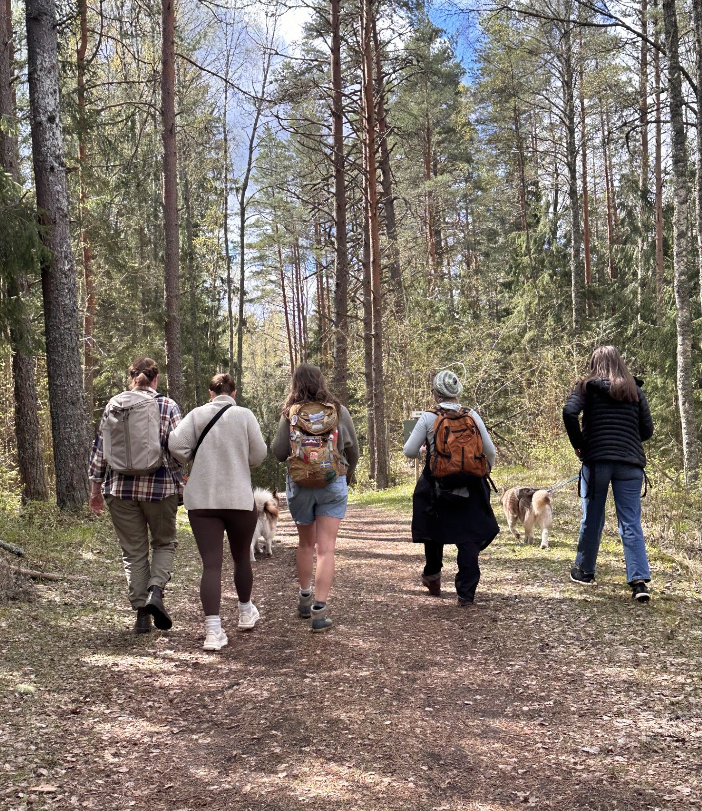 Milliseks kujunes 2025. aasta Visit Estonia sotsiaalmeediakanalites?