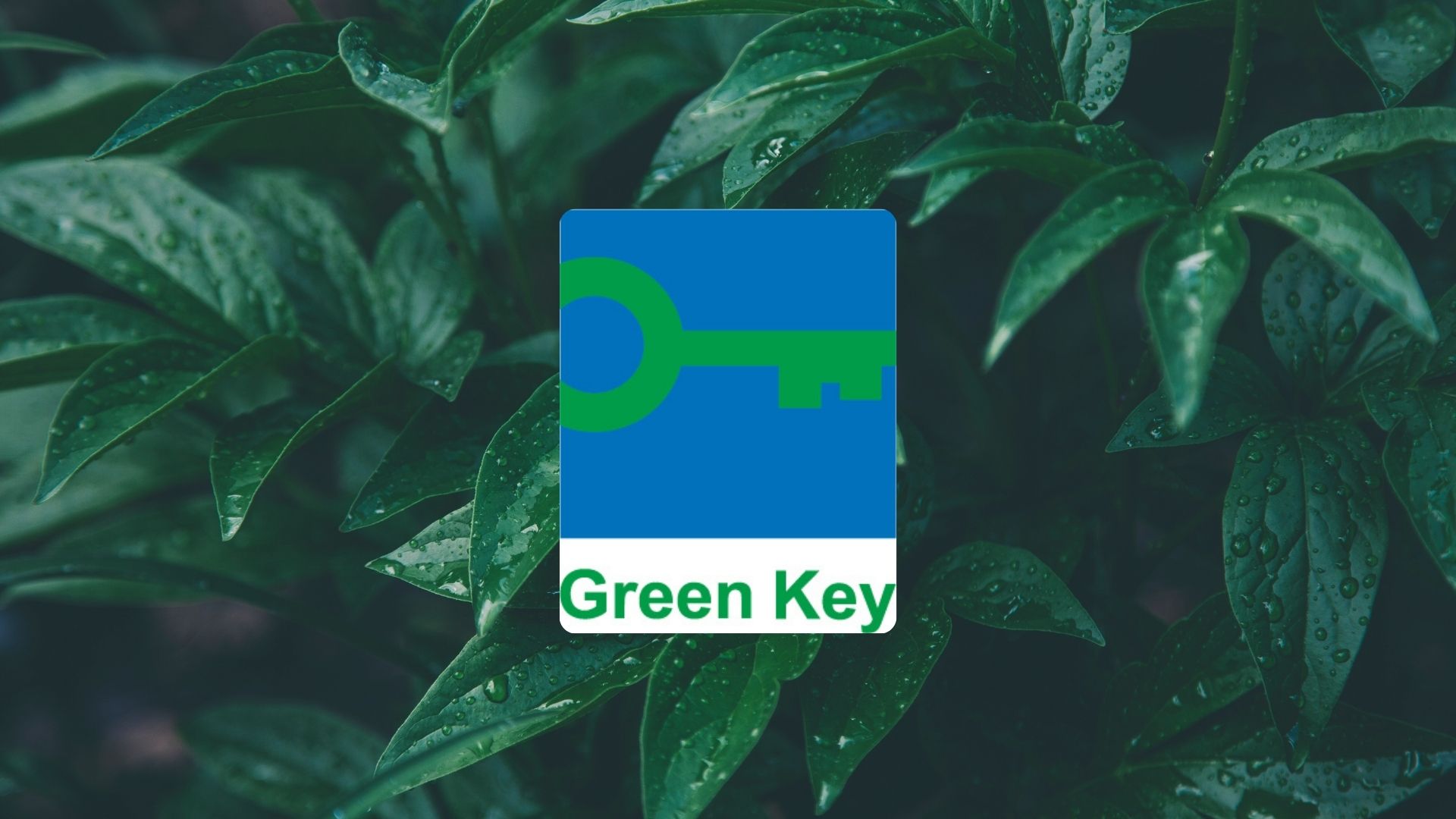 Aasta 2025 tõi Green Key märgise esmakordselt mitmele tuntud kohale