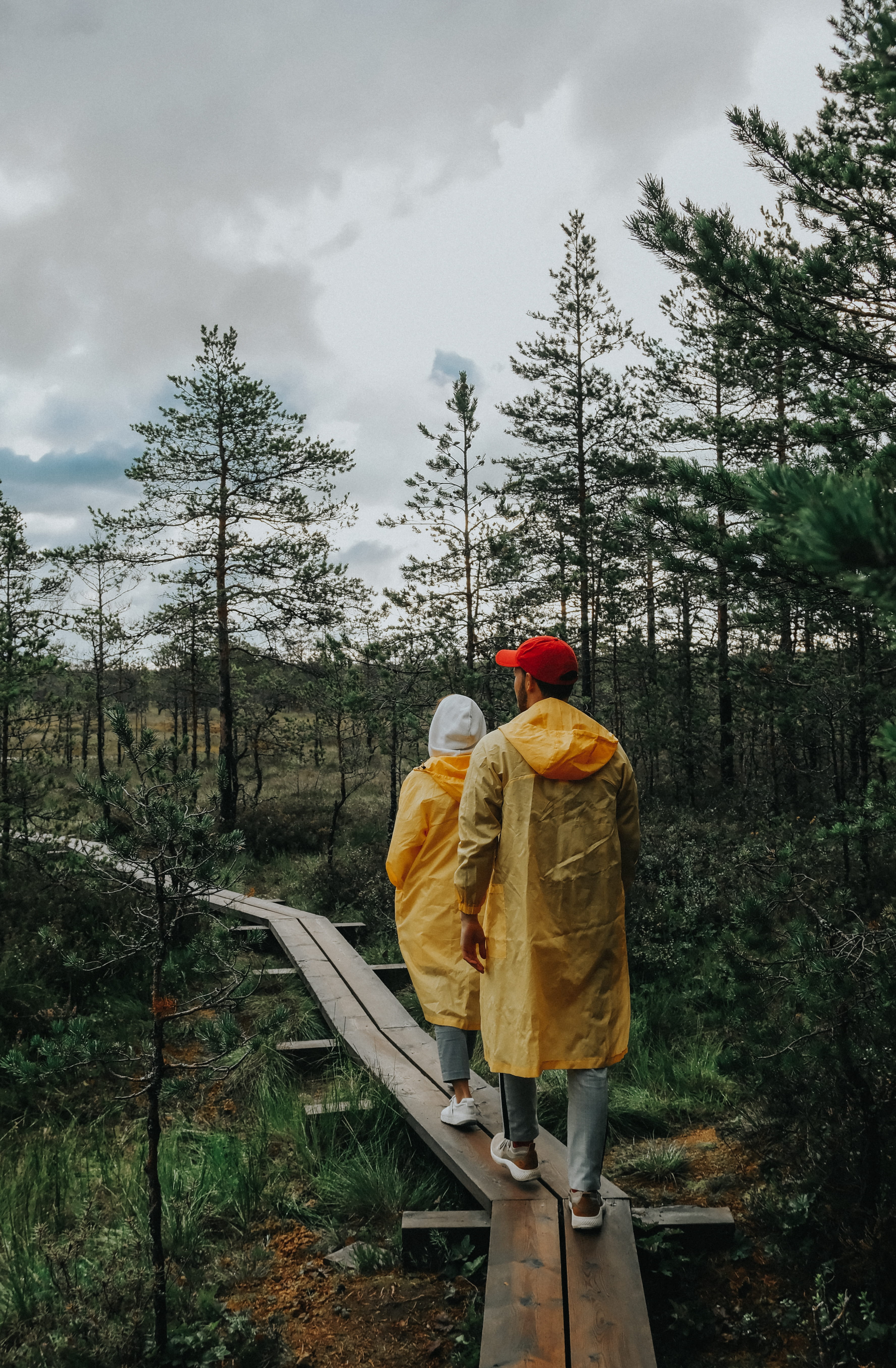 Two people wearing rain jackets hike in Viru Bog