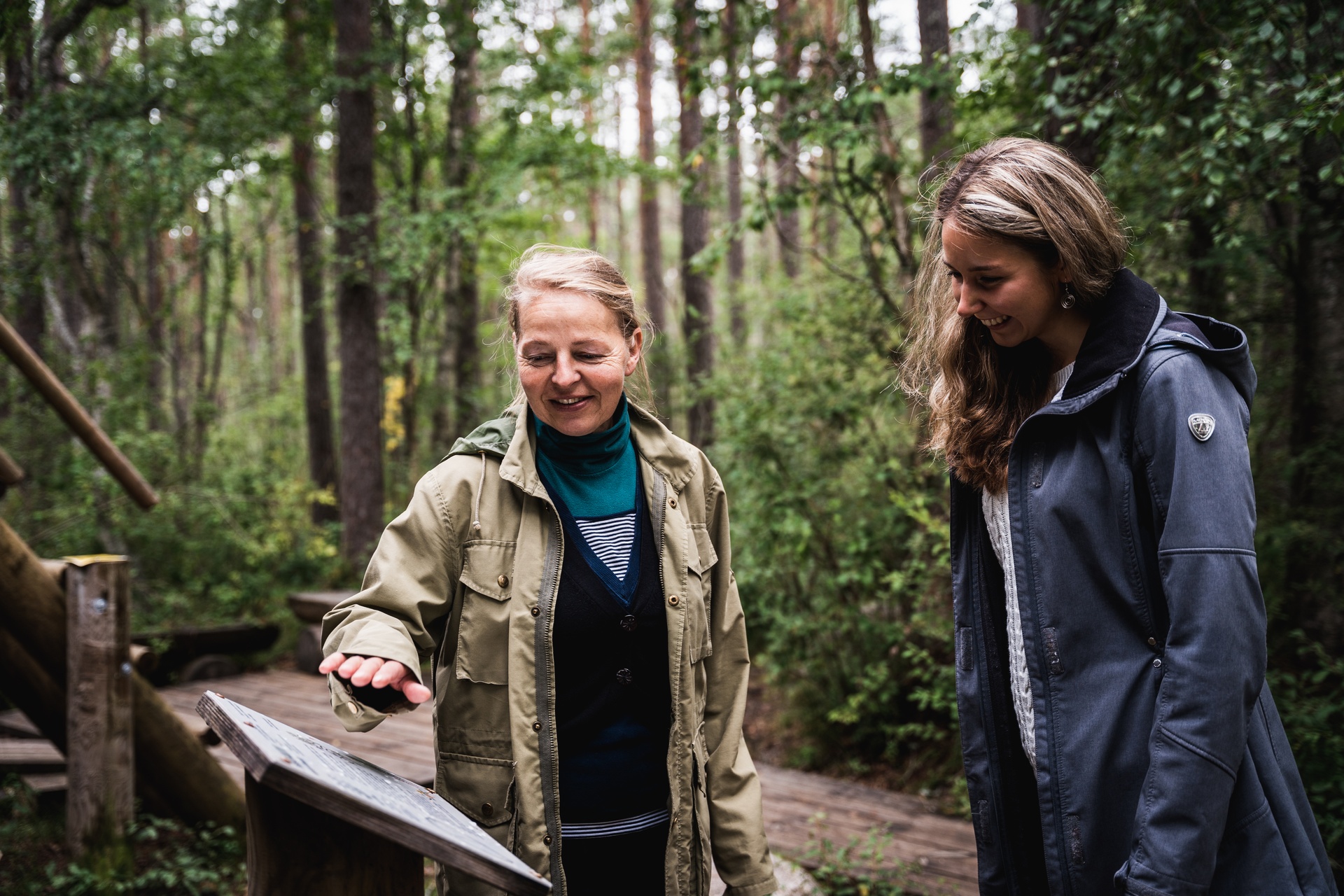 Lahemā parka Majakivi dabas taka