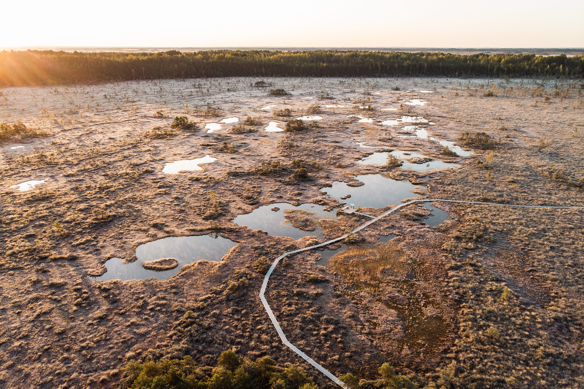 Rīsas purvs un pārgājienu taka