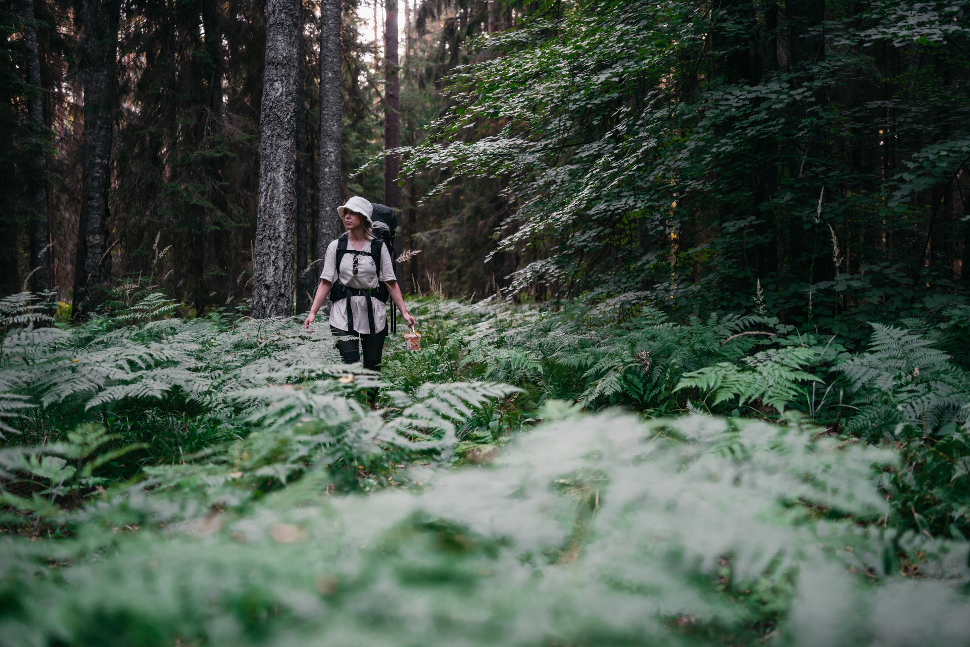 Emajegi - Sūrso purvs