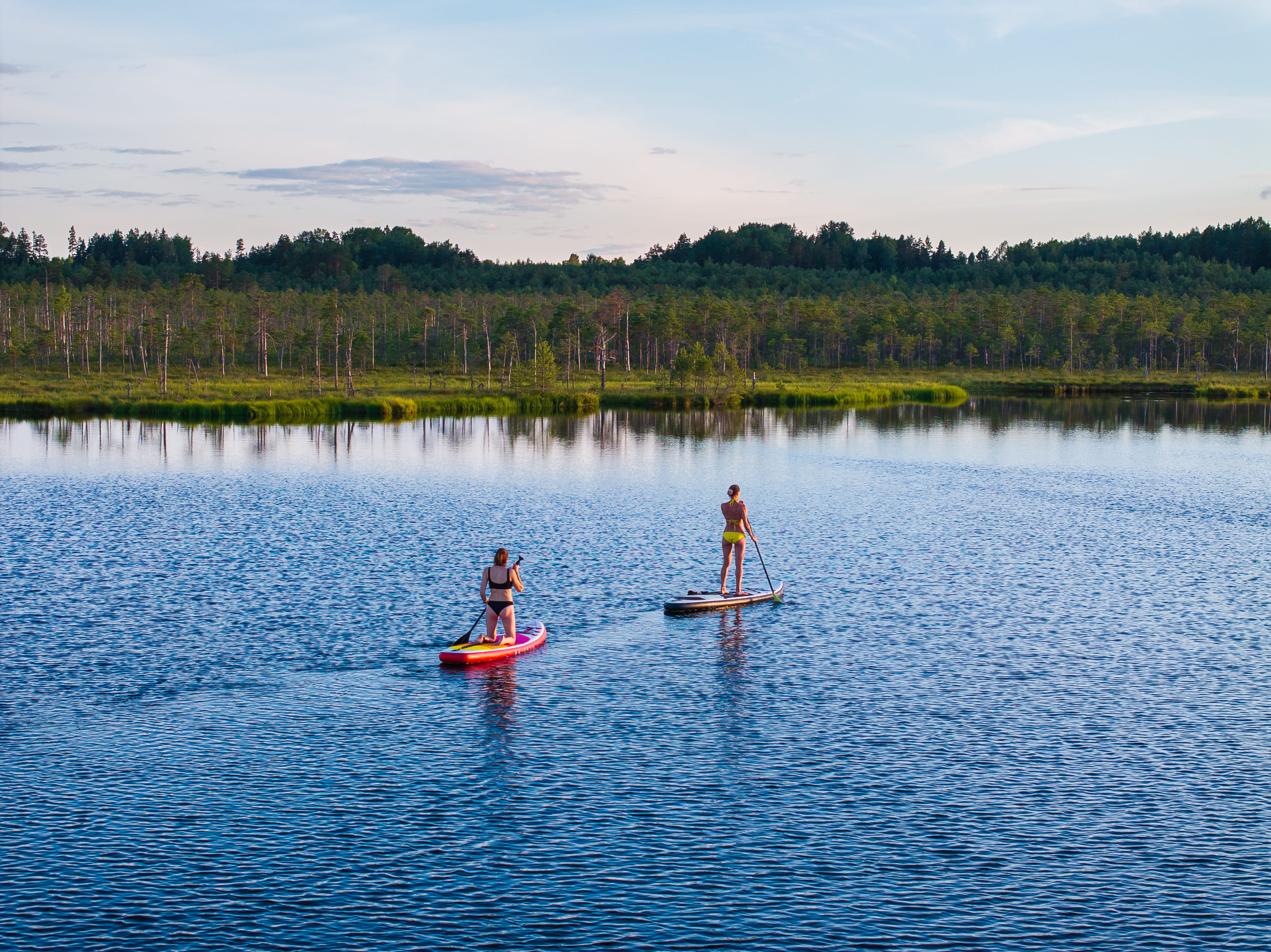 The subtle beauty of Estonian nature