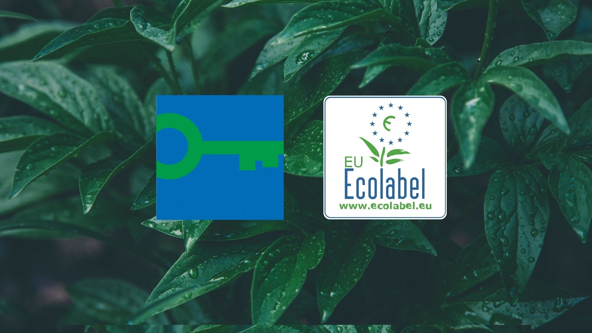 Green Key ja Euroopa Liidu ökomärgis