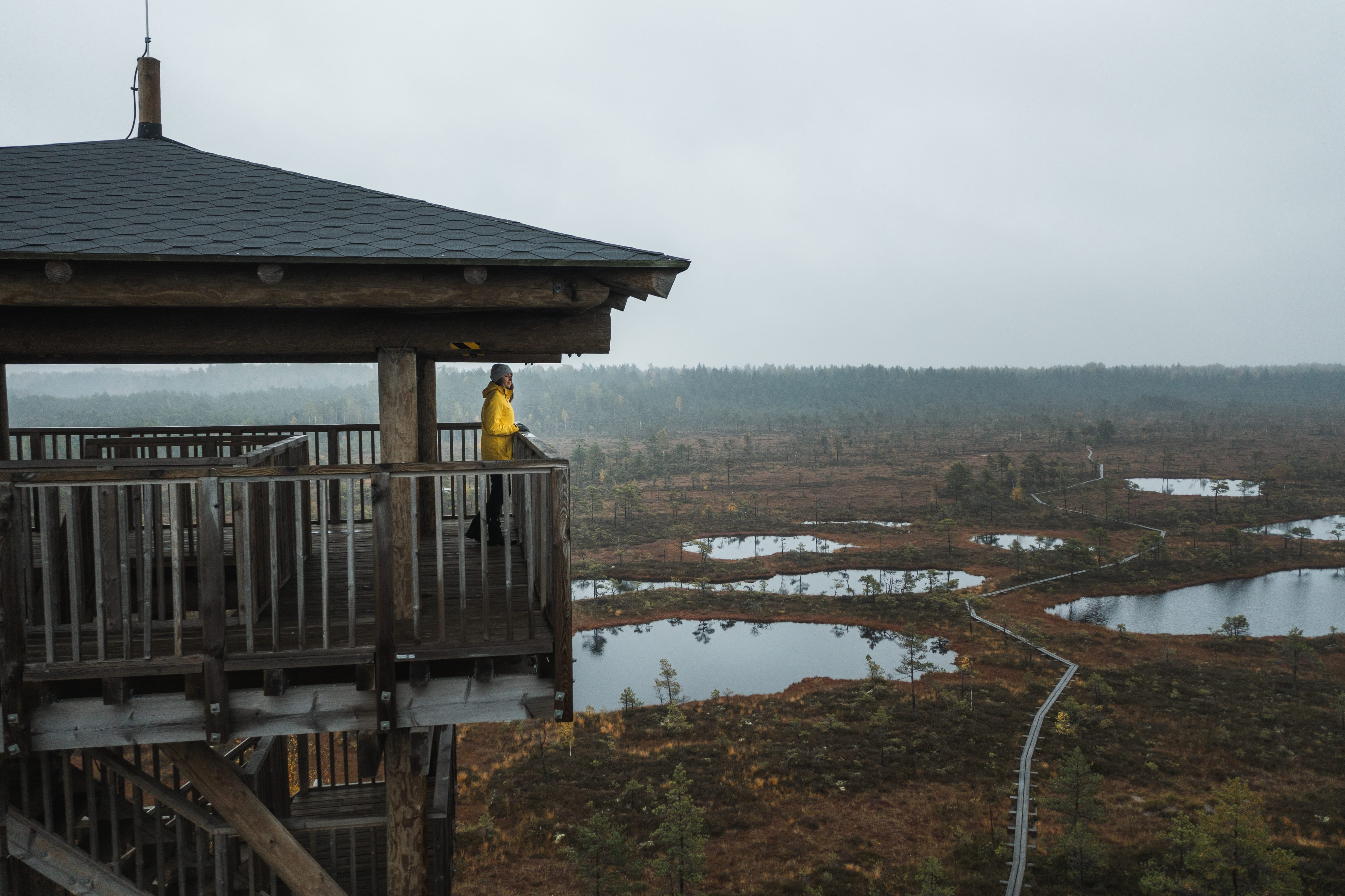 Mukri Bog observation tower in autumn