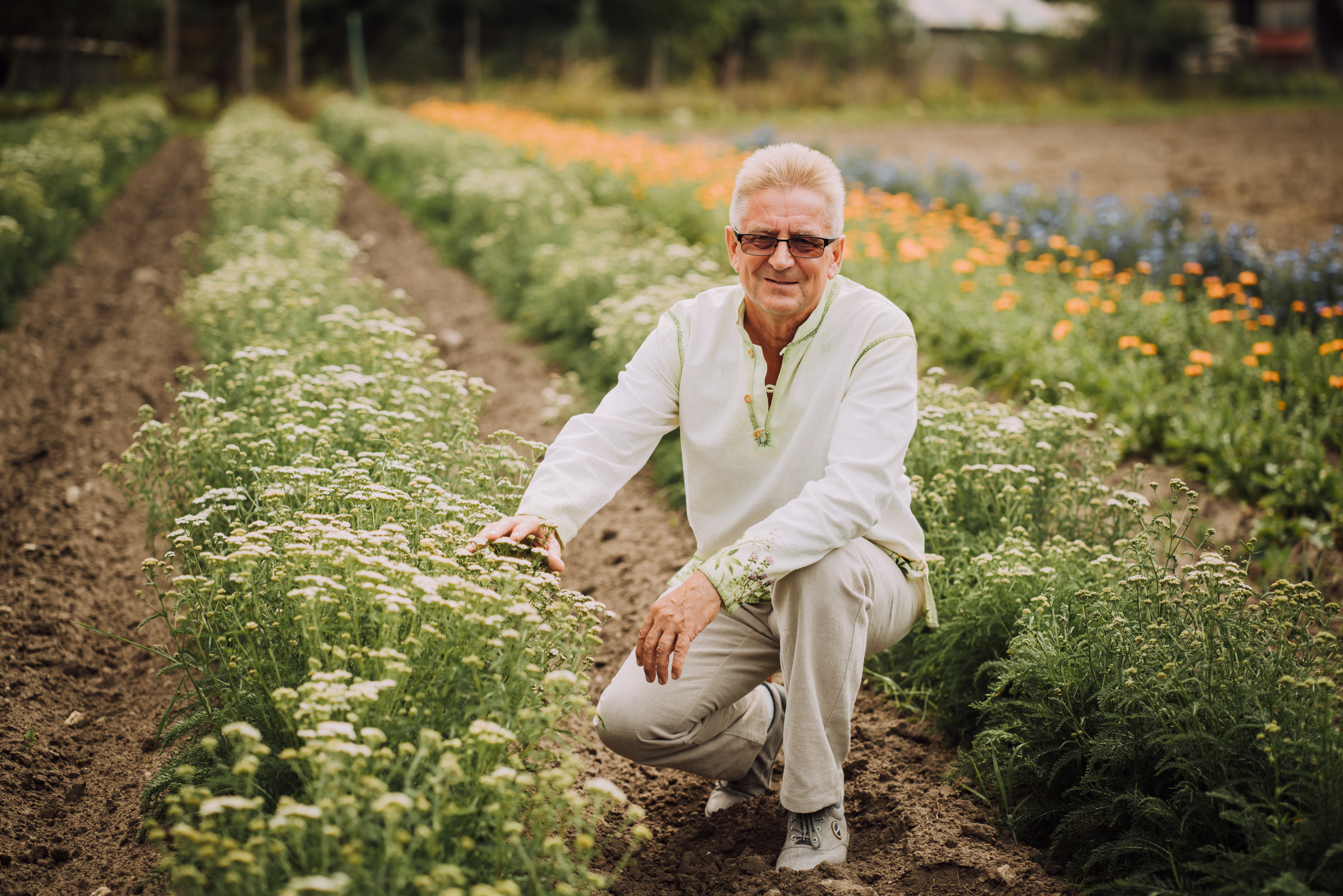 Puutarhakohteet Etelä-Virossa