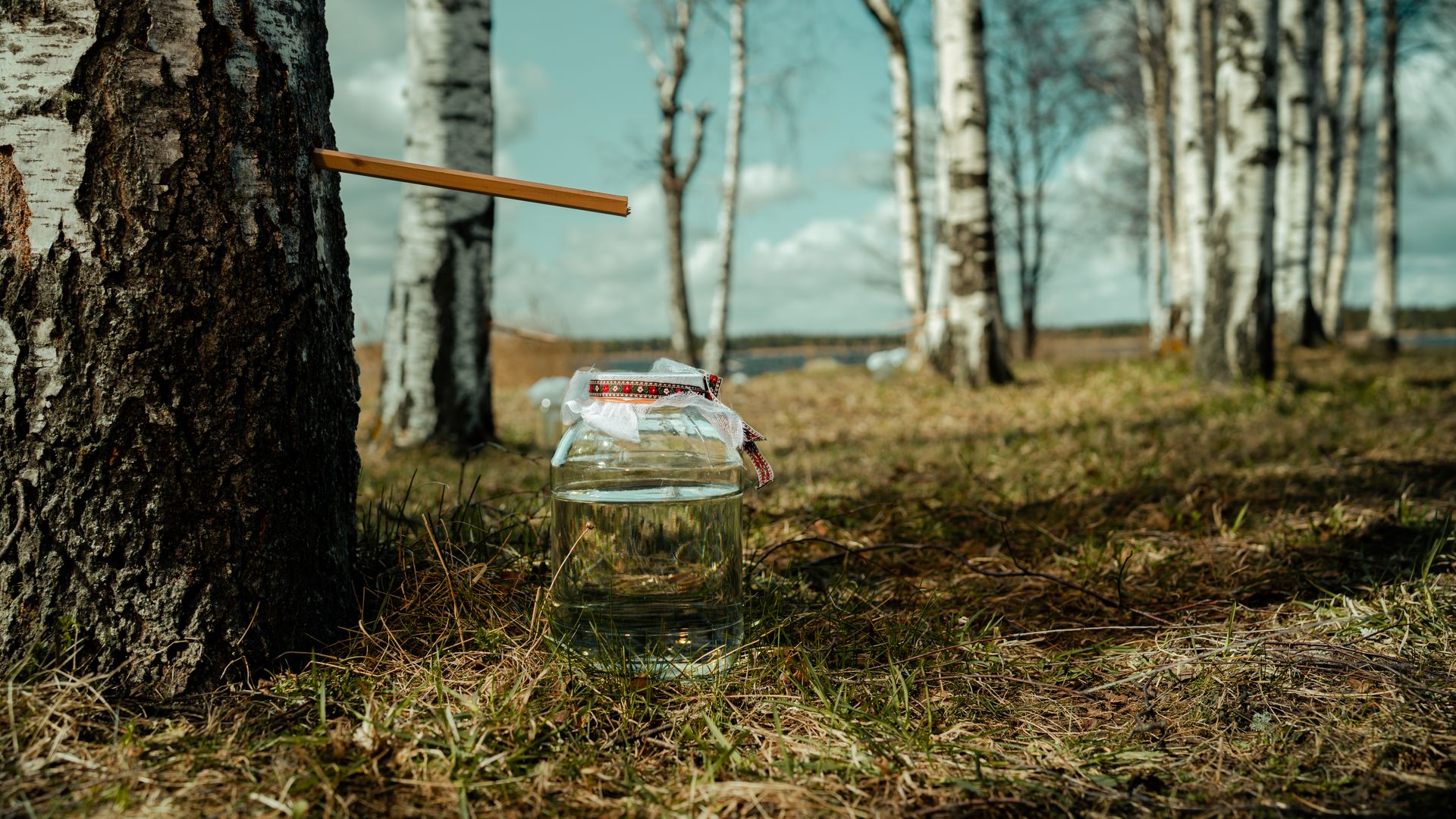 Kasest voolab purki mahla