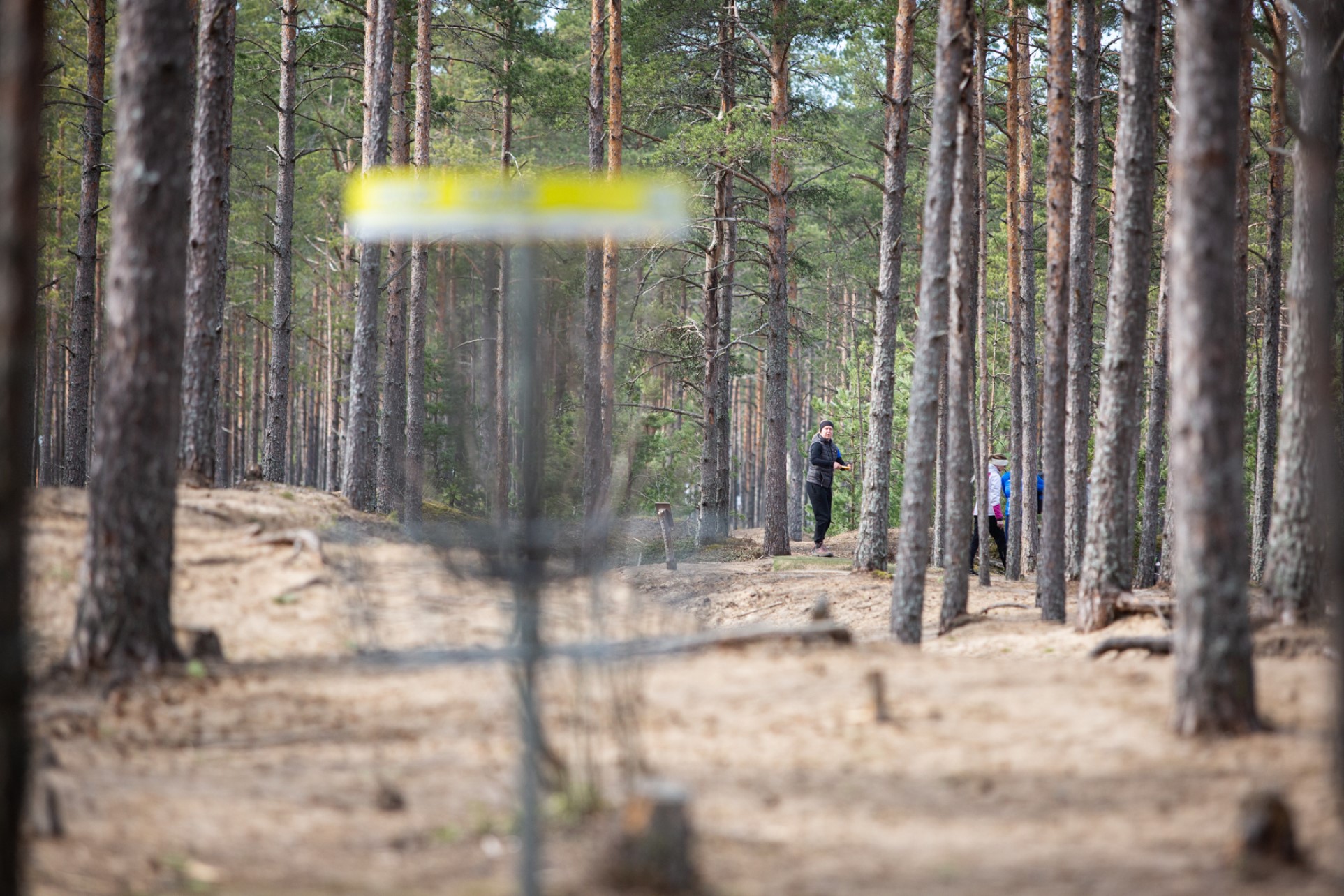 Disku golfa spēlētājs Männiku Disku golfa parkā