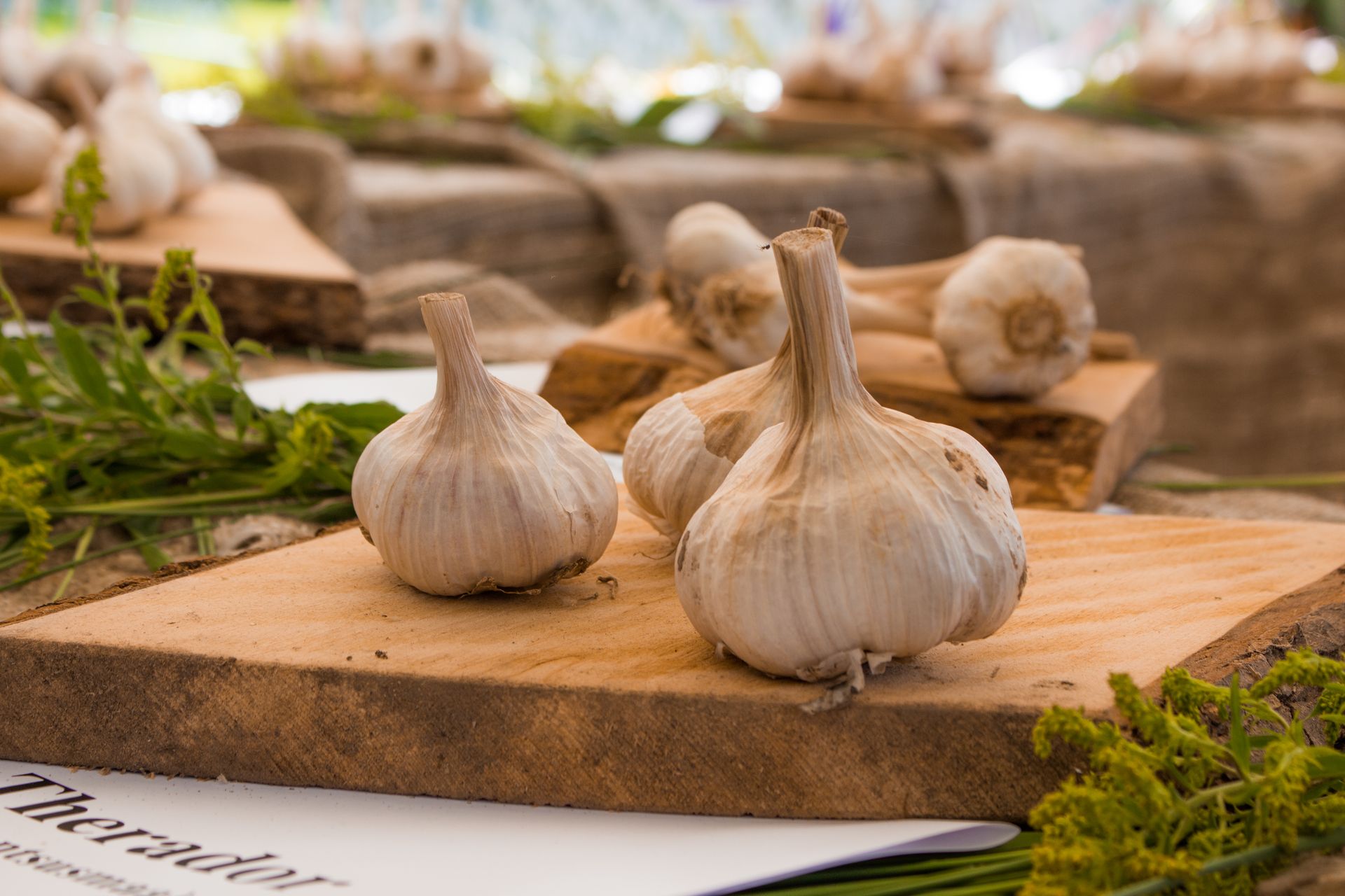 Das Knoblauch-Festival in Estland