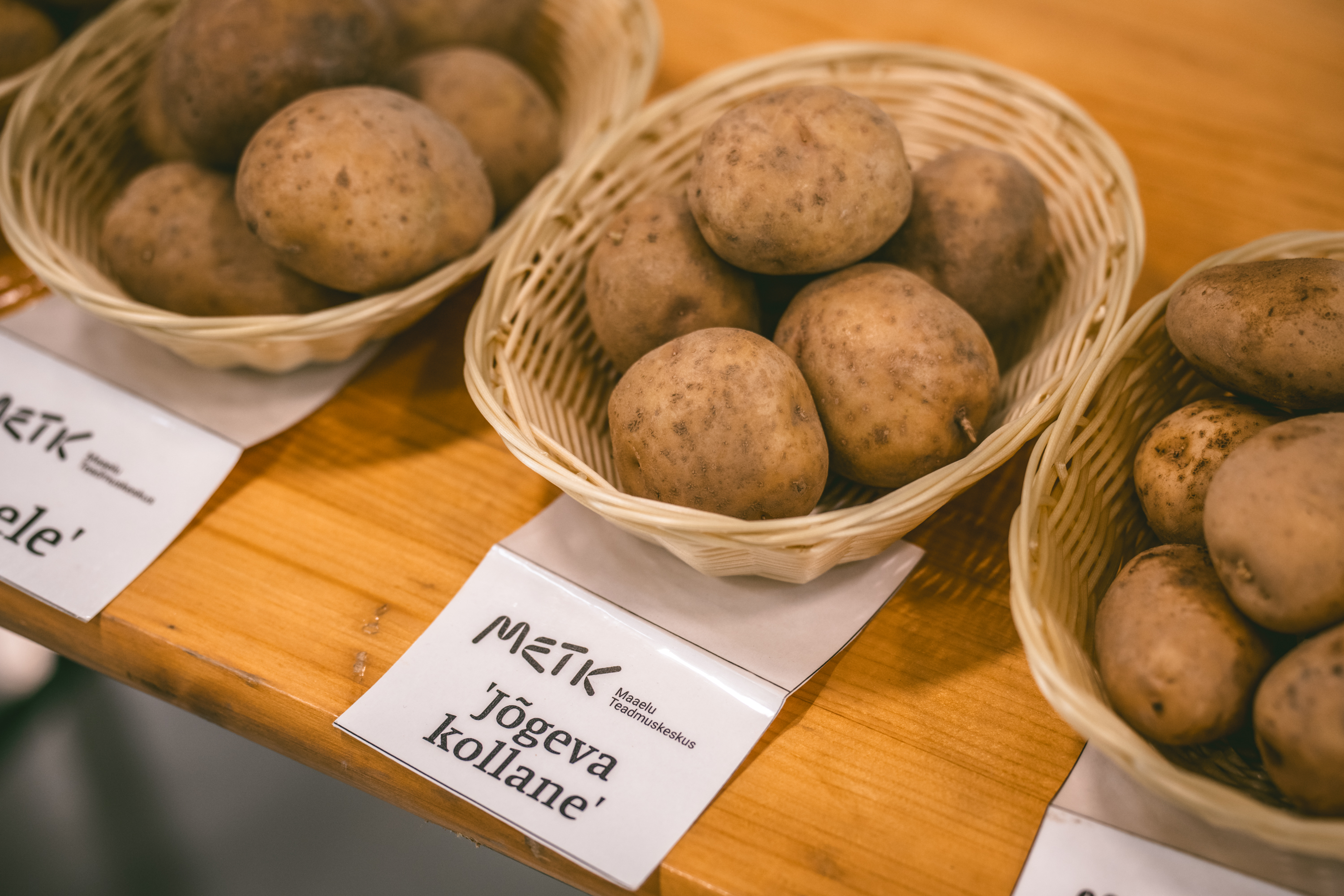Popular potato variety from Jõgeva County, Estonia