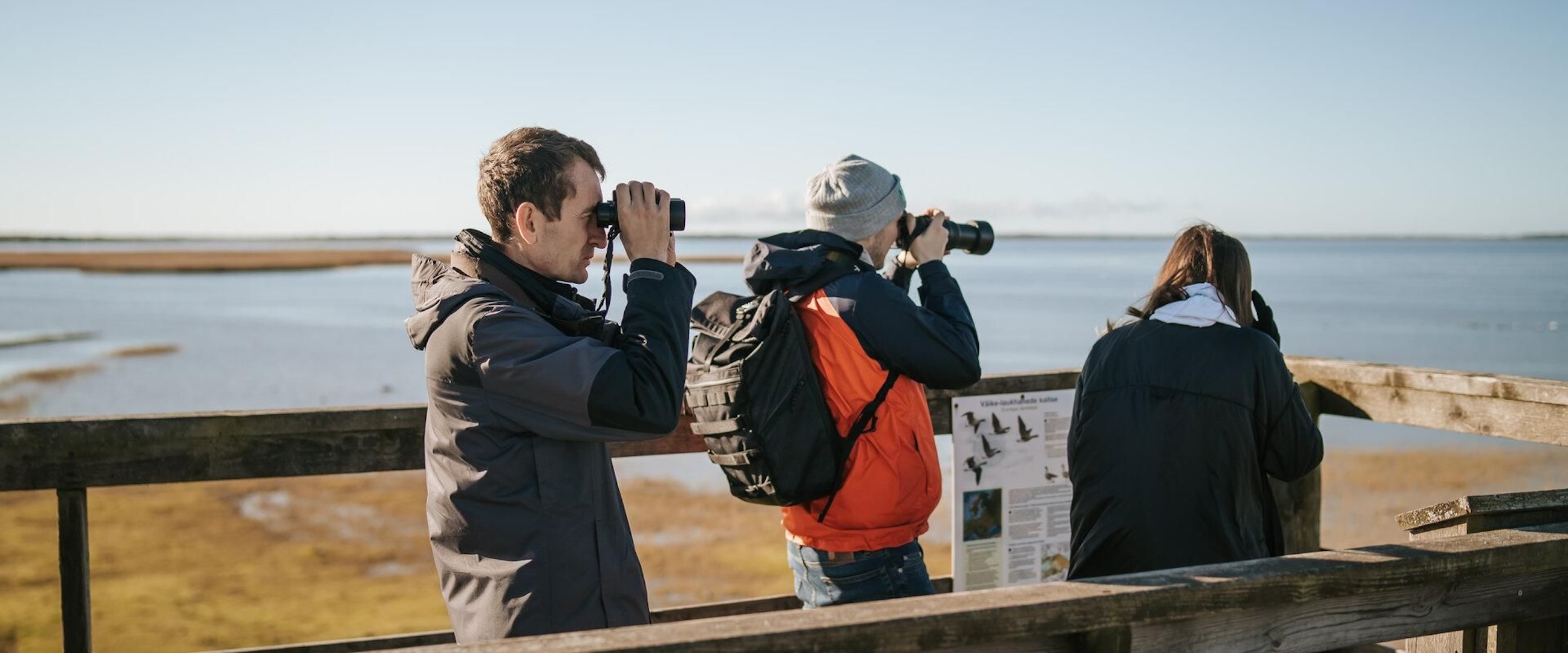 Birdwatching in Matsalu National Park near Haapsalu