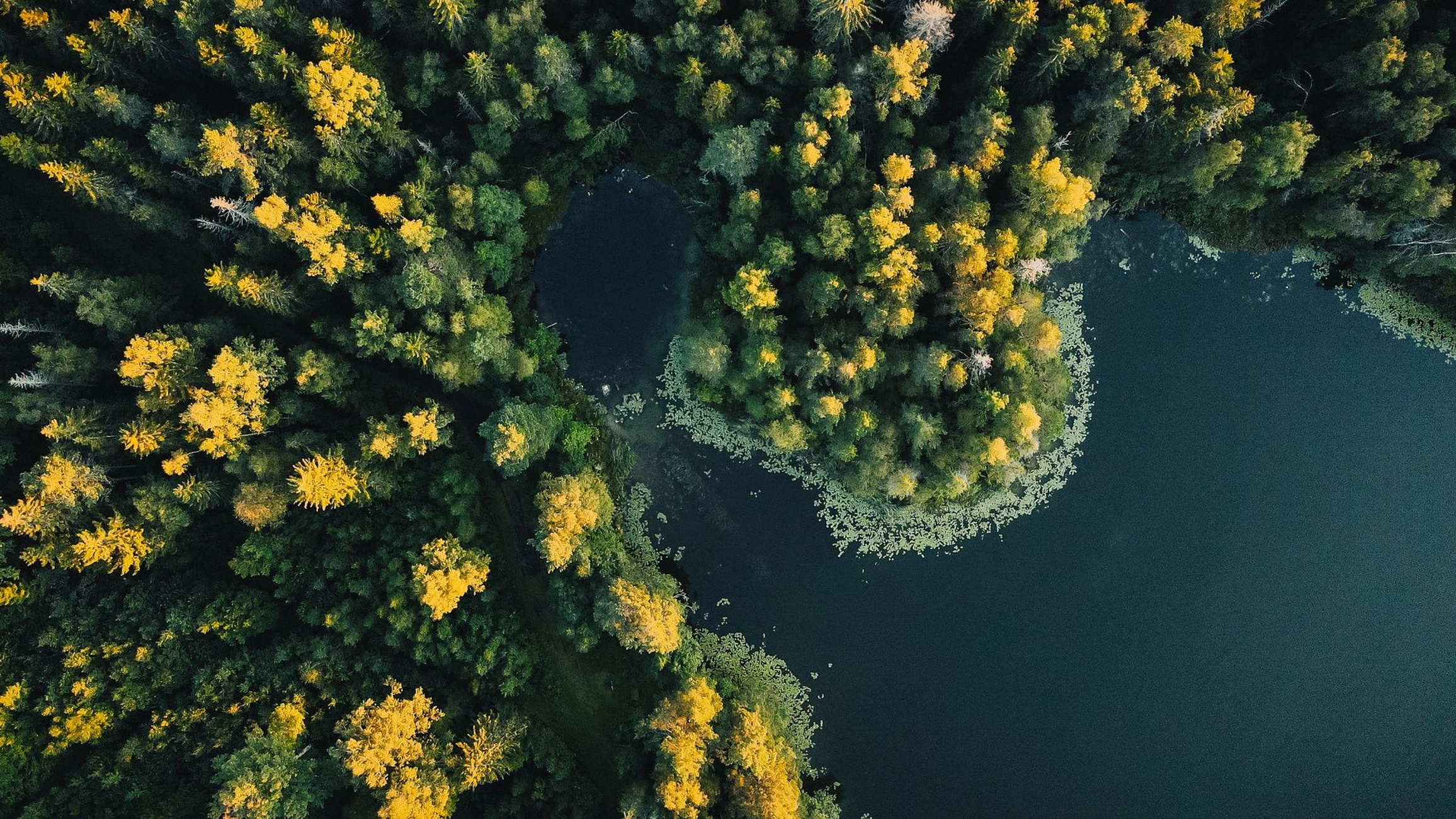 Luftbild des Naturschutzgebietes Kõrvemaa