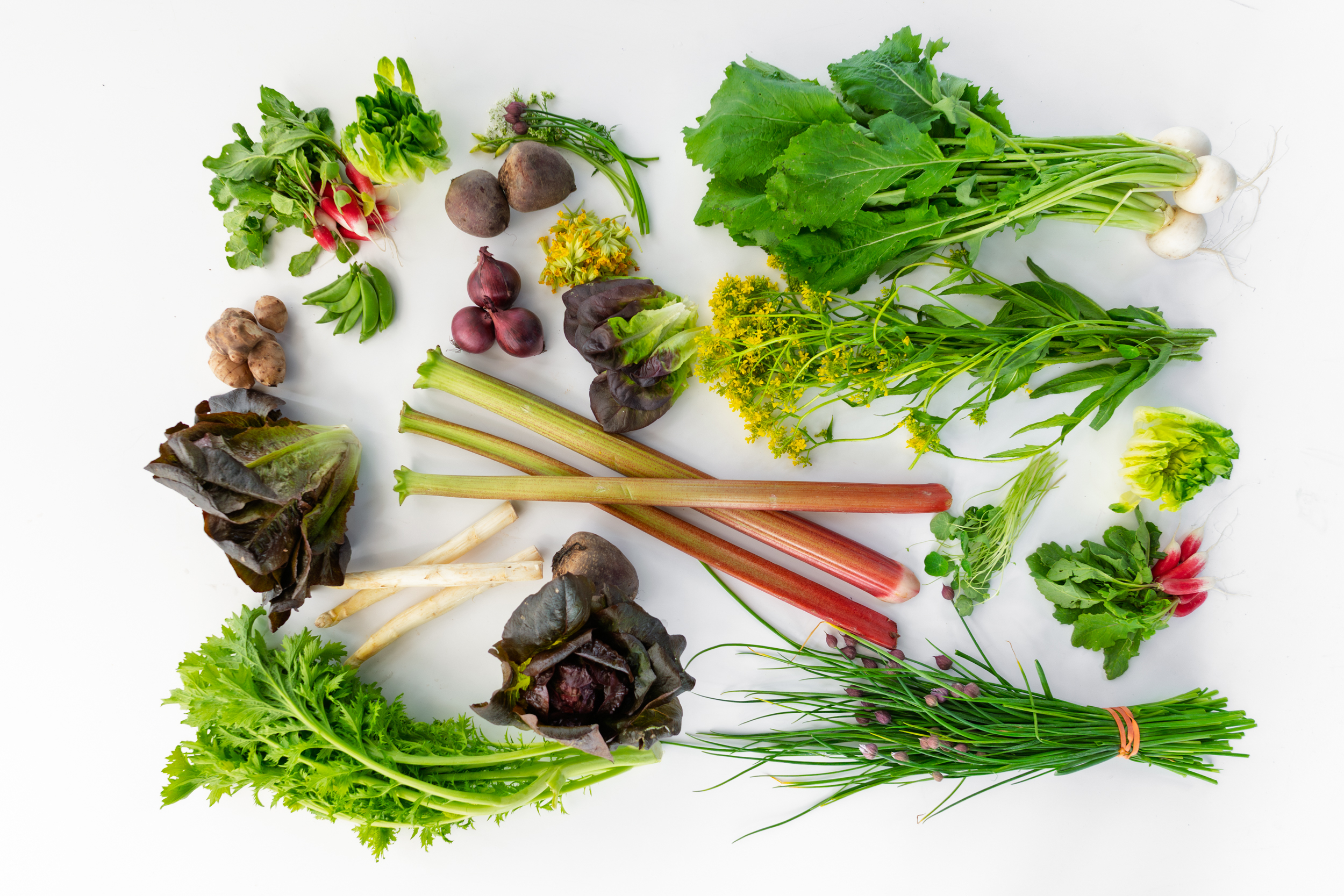 Eat green at Estonia's most sustainable restaurants
