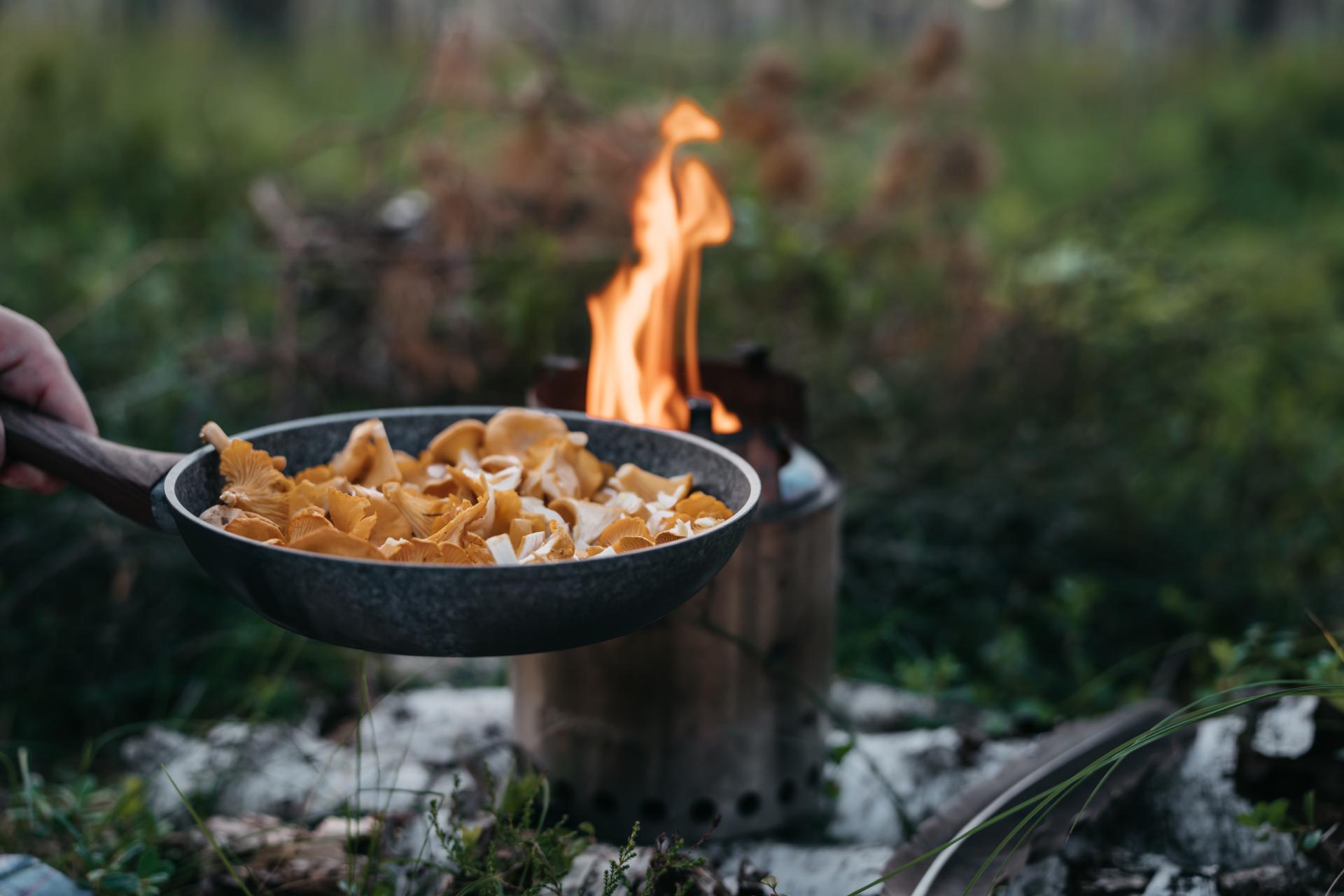 Über einem Feuer im Wald werden frisch gesammelte Pilze in einer Pfanne gegart