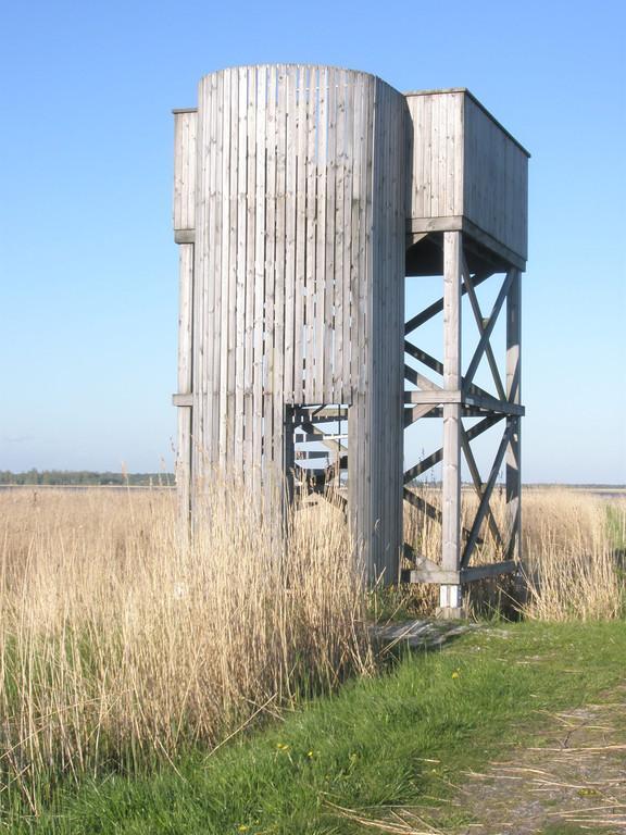 Nature and birdwatching tower in Loode oak forest