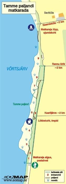 Tamme Outcrop hiking track