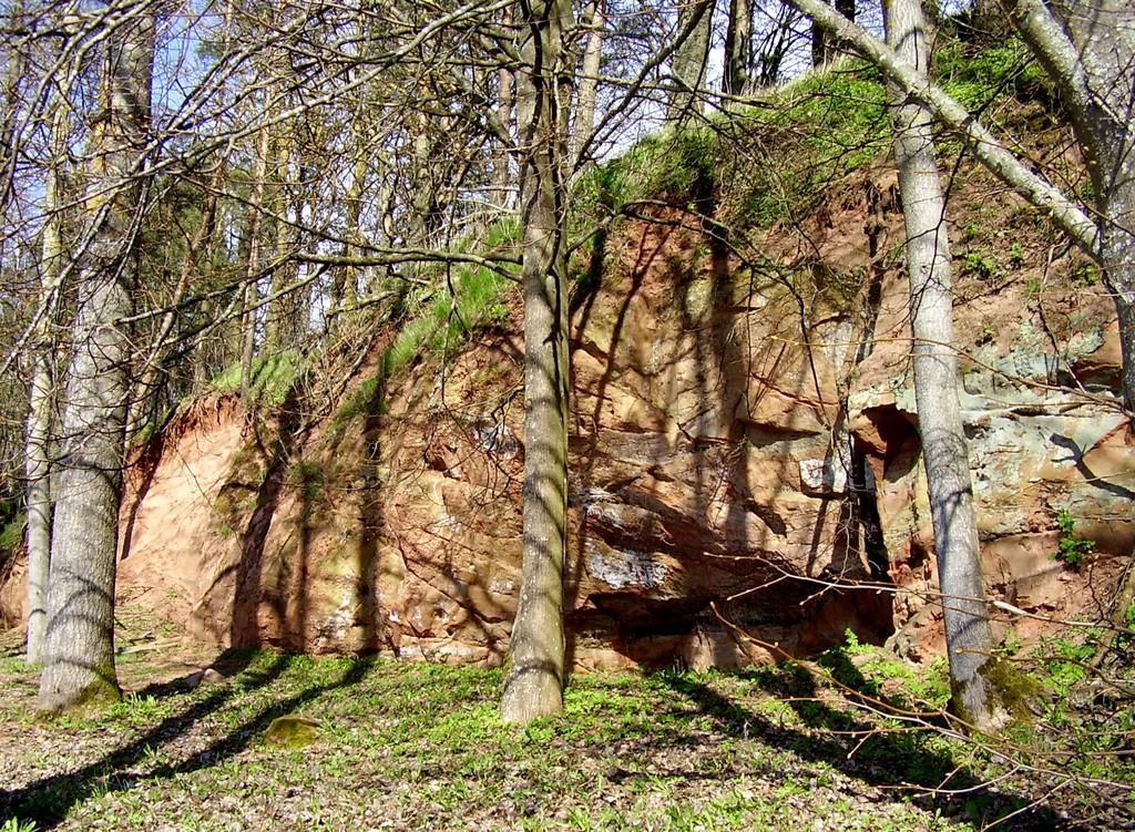 Tamme Outcrop hiking track