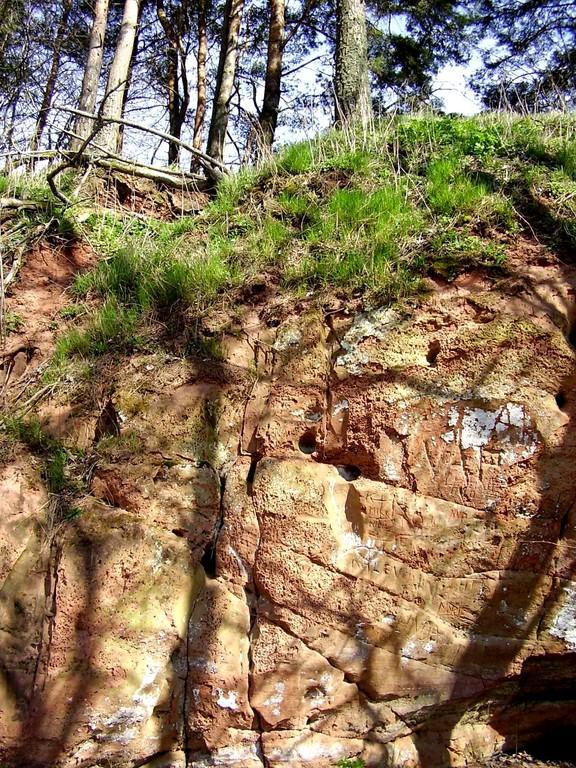 Tamme Outcrop hiking track