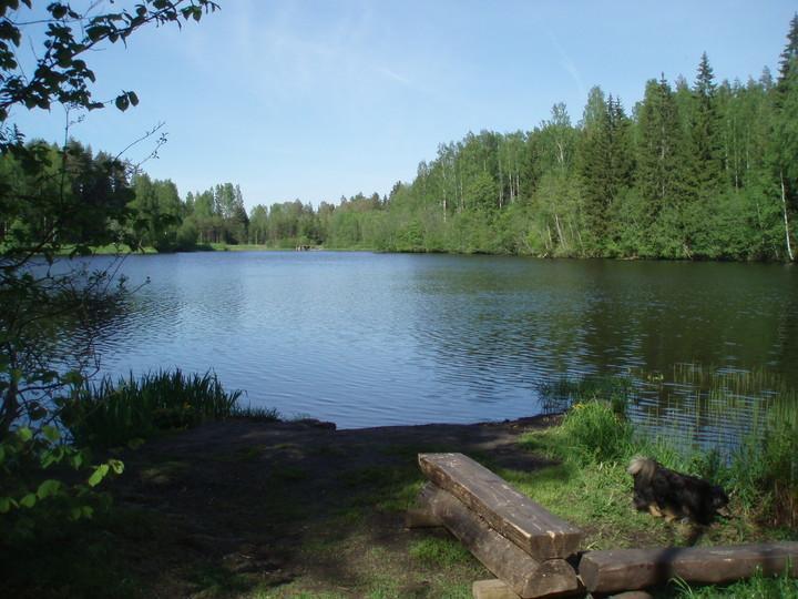 Wanderweg und Zeltplatz des Forstamtes RMK am Rae-See