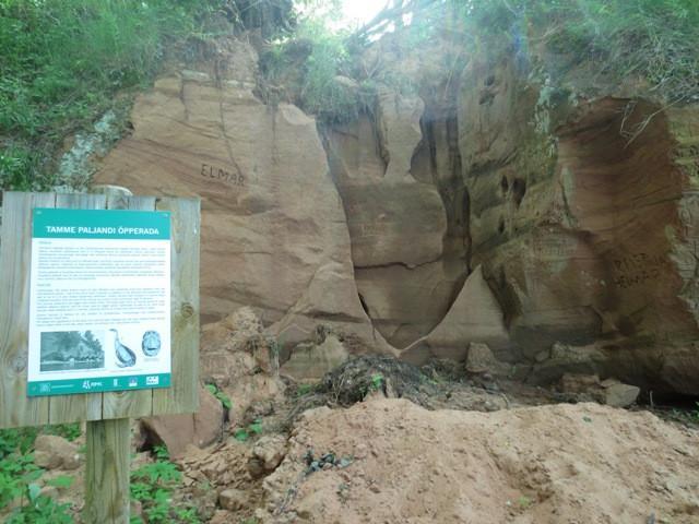 Tamme Outcrop hiking track