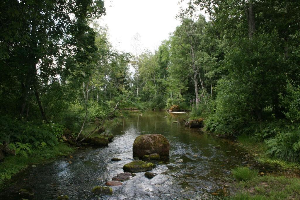 Pärnu jõe algus Roosna-Allikul