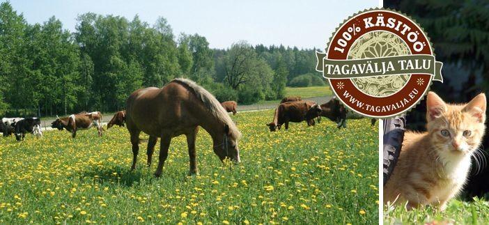 Rauchsauna im Ferienhof Tagavälja