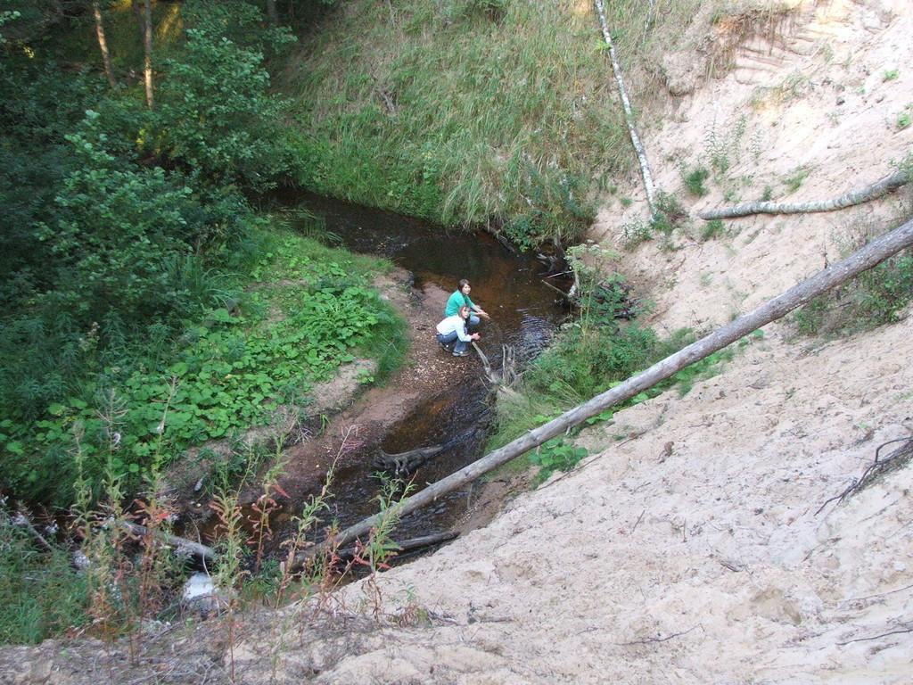 Das Tal des Flusses Vanajõgi