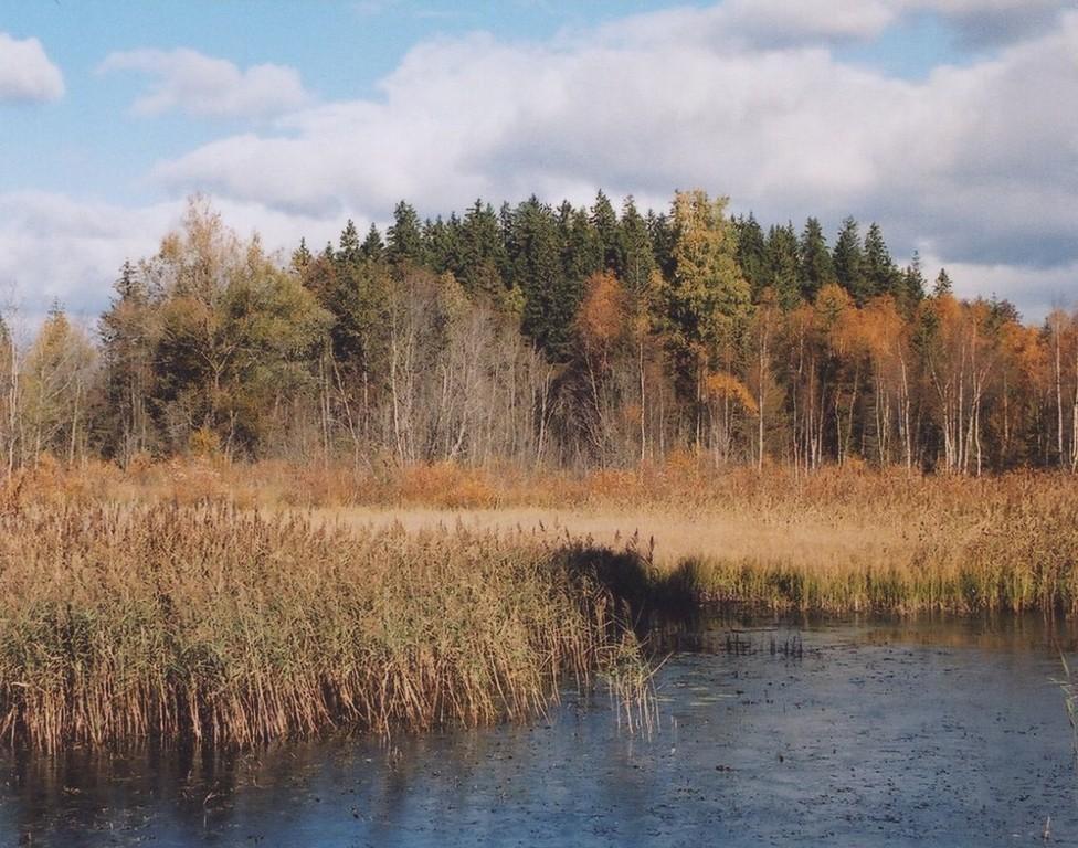 Äntu Punamägi camping site