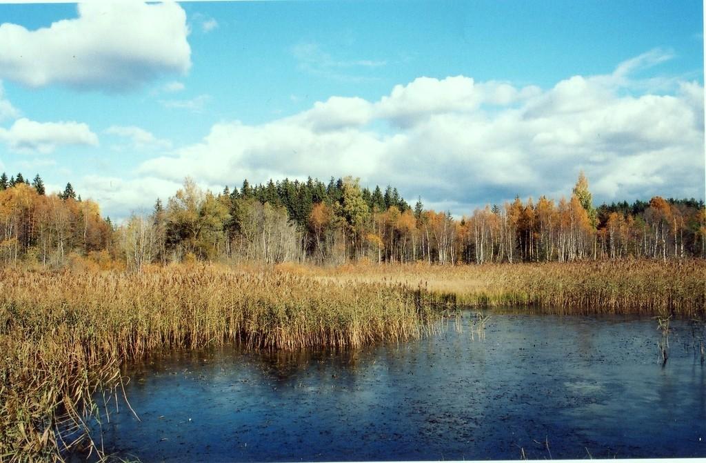 Äntu Punamägi - Muinaseestlaste linnamägi