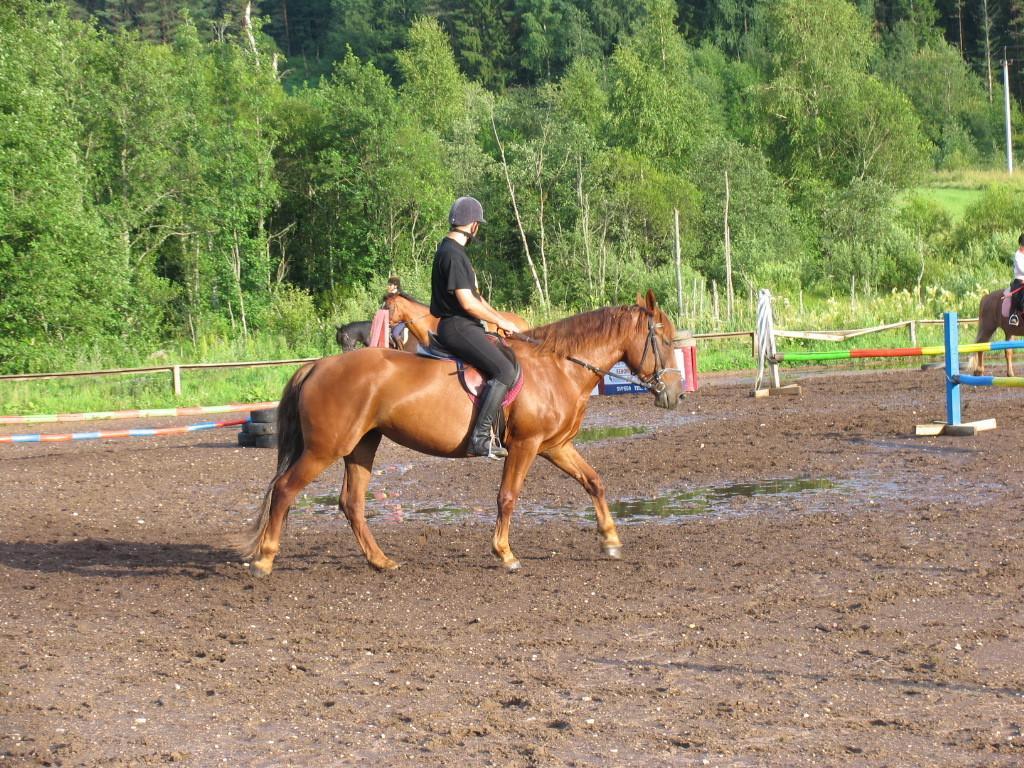 Der Reitbauernhof Tobra Hobused