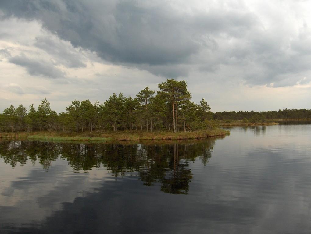 Tõugussaare bog hike