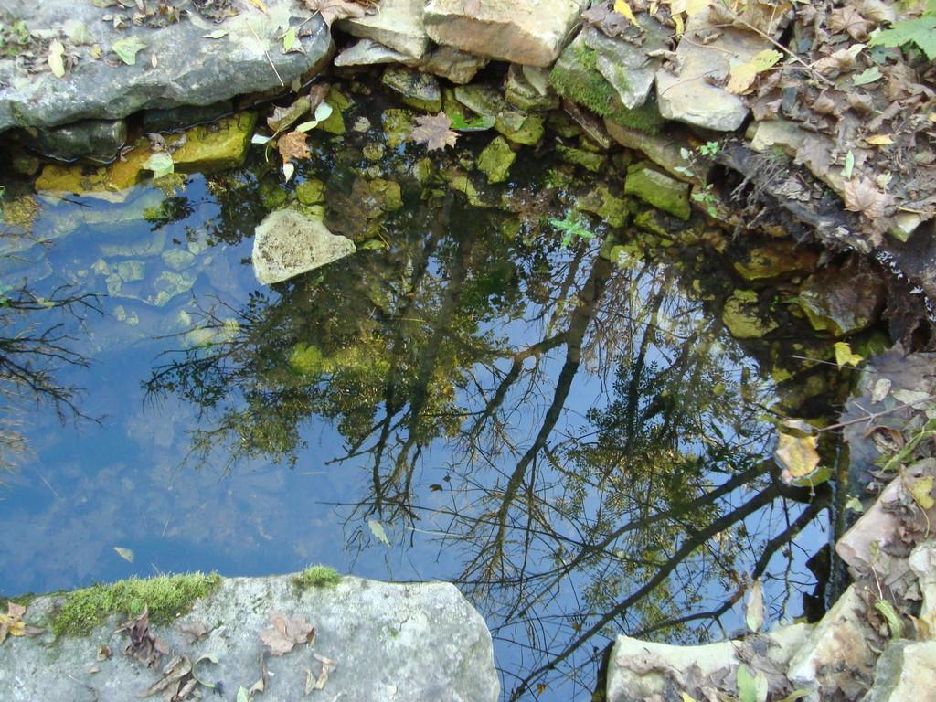 Eine Fußwanderung von Ajamatkad durch vorzeitliche Landschaften zum Kennenlernen der Nachlass-Kultur von Kurese