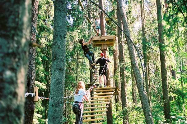 Seikkailupuisto Otepää Seikluspark