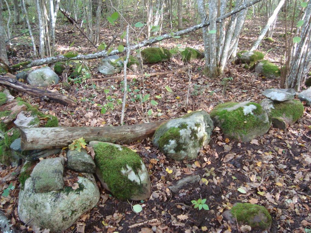 Pārgājiens pa Tõldmē neskartās dabas elfu takām