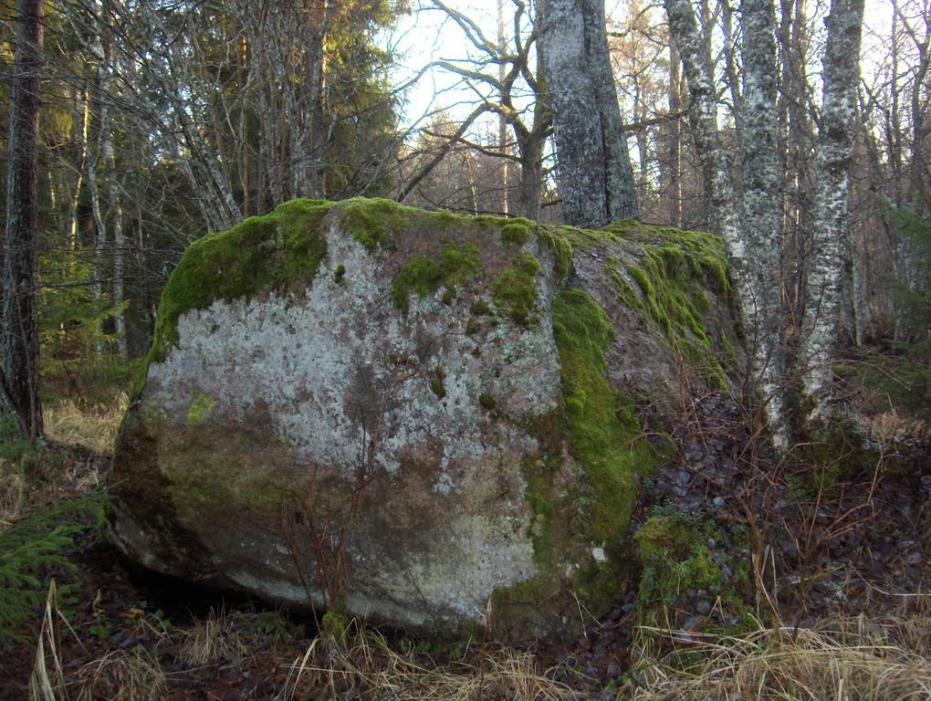 Pārgājiens pa Tõldmē neskartās dabas elfu takām