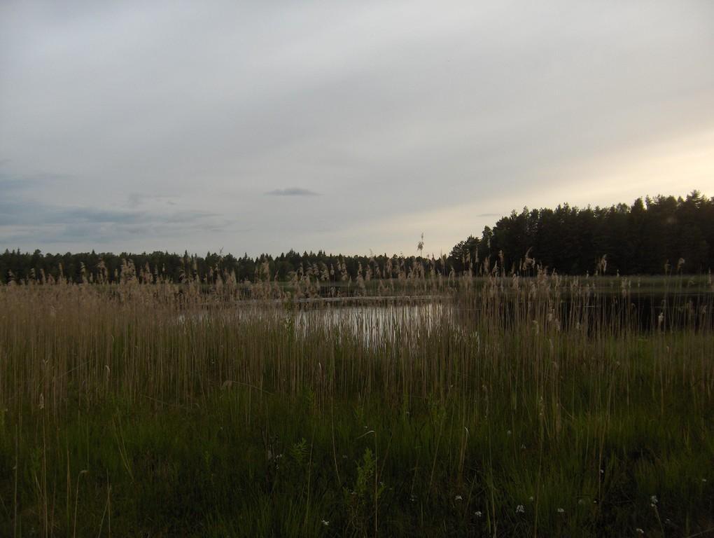 A hike on the trails of elves in the virgin nature of Rahama