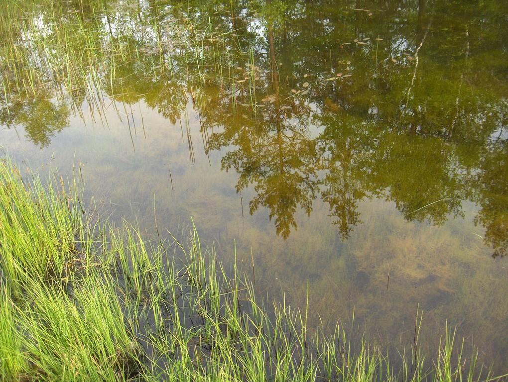 A hike on the trails of elves in the virgin nature of Rahama