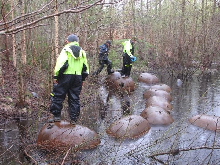 Meeressafari auf die Insel Naissaar und eine Lastwagenfahrt auf der Insel