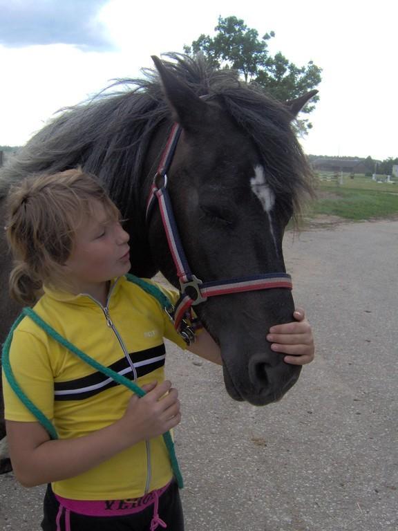 Tori Horse Breeding Farm