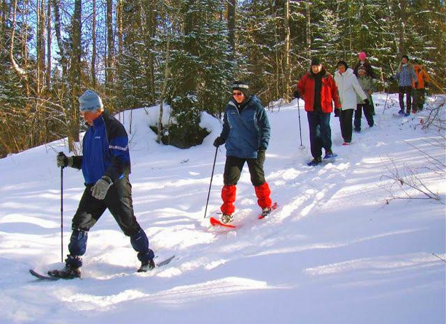 Summer and winter bogshoe hikes in Valgesoo bog