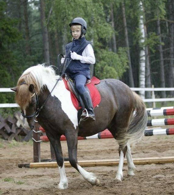 Maria Farm Riding Centre