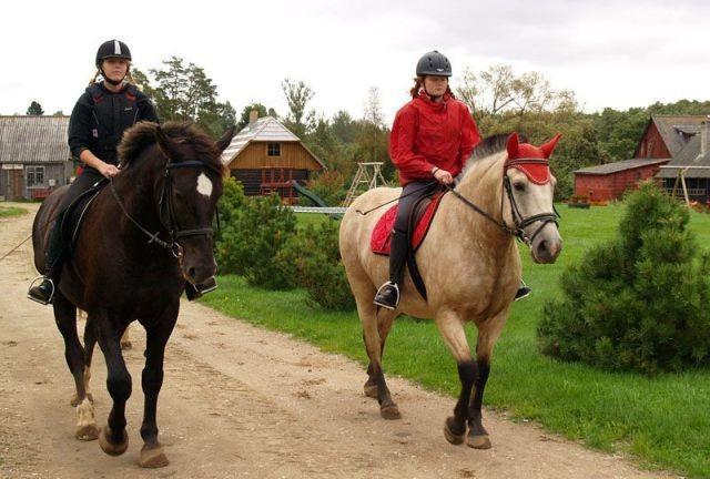 Maria Farm Riding Centre