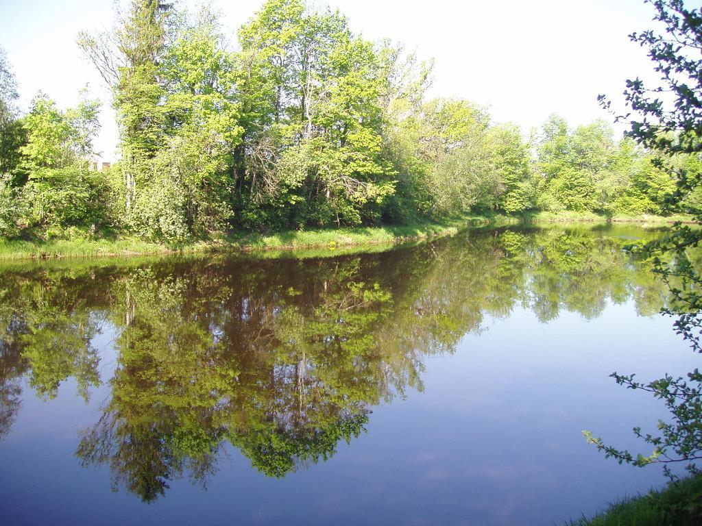 Villa River Rose - ein neues modernes und bequemes Ferienhaus an der Grenze des Nationalparks Soomaa!