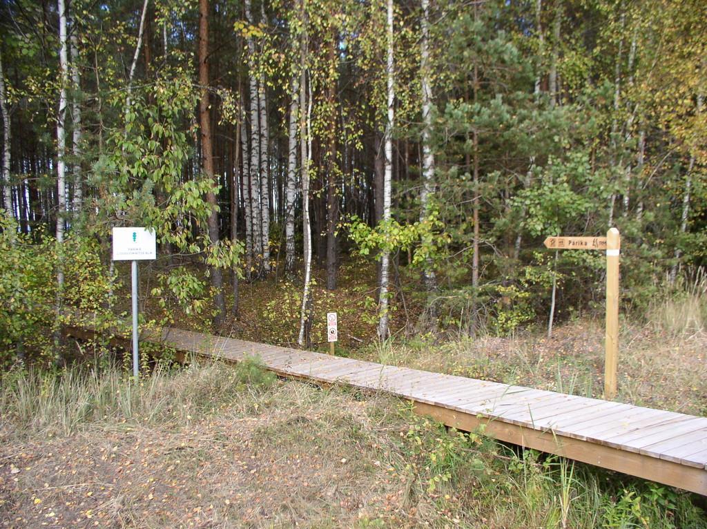 Lake Parika observation tower