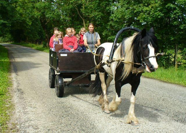 Mätta riding farm