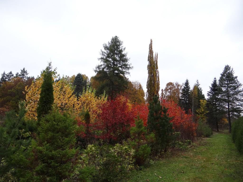 Järvselja Nursery