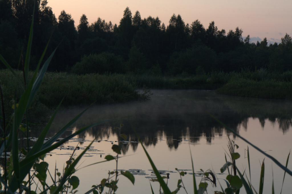 Wellnessgebiet Kivi Bauernhof