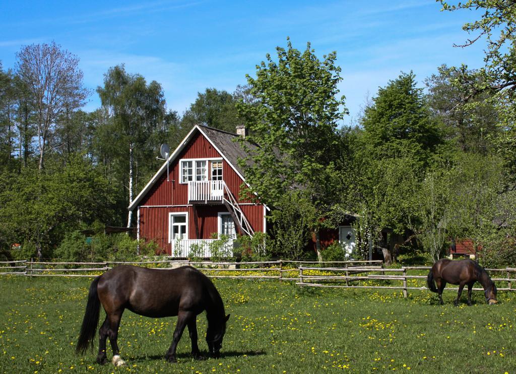 Kooli Kopli puhkemaja