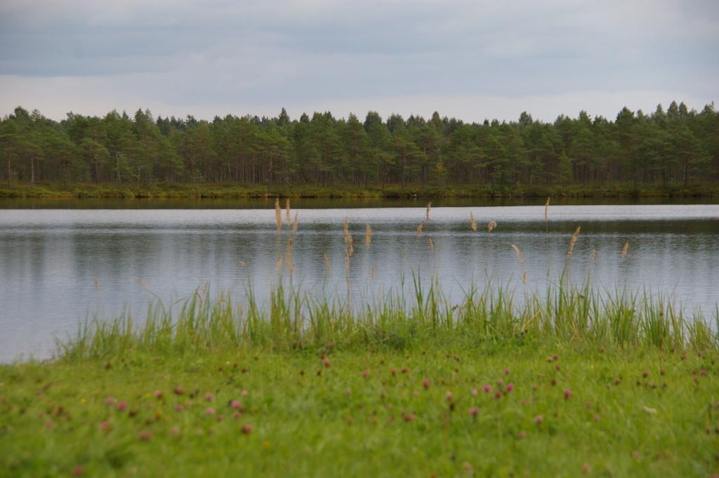 Matsimäe Pühajärv recreational area and campsite